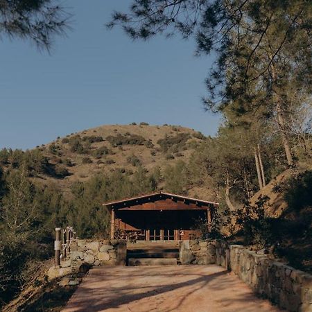 Bosco Paradiso ليماسول المظهر الخارجي الصورة