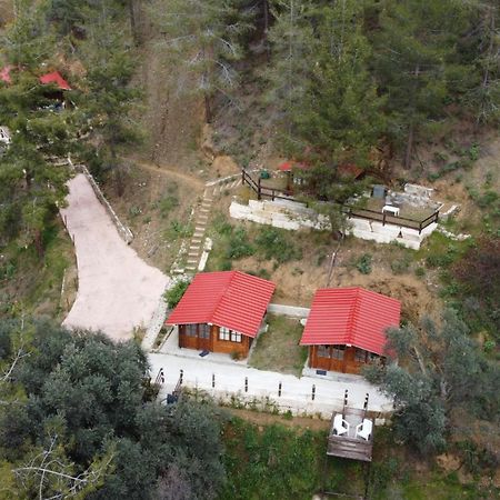 Bosco Paradiso ليماسول المظهر الخارجي الصورة