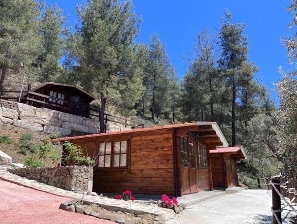 Bosco Paradiso ليماسول المظهر الخارجي الصورة