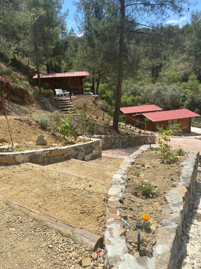 Bosco Paradiso ليماسول المظهر الخارجي الصورة