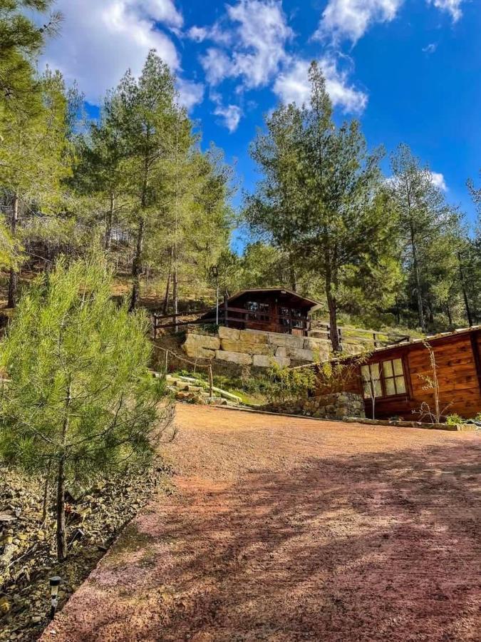 Bosco Paradiso ليماسول المظهر الخارجي الصورة