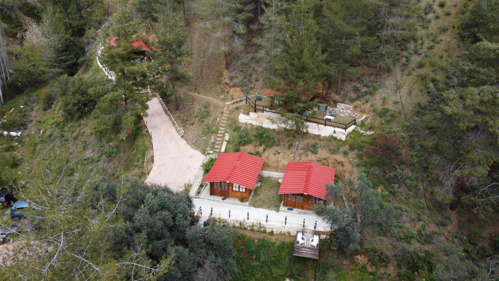 Bosco Paradiso ليماسول المظهر الخارجي الصورة